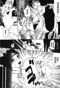 第29頁圖