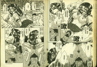 第33頁圖