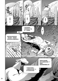 第29頁圖