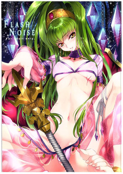 FLASH NOISE图