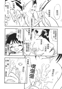 第29頁圖