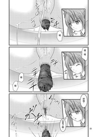 第21頁圖