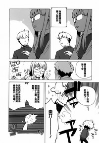第29頁圖