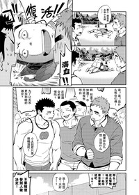 第33页图