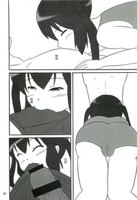 第33页图