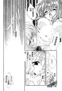第117頁圖