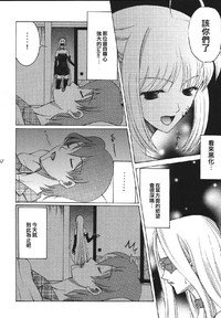 第29頁圖