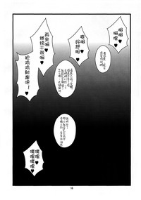 第17页图