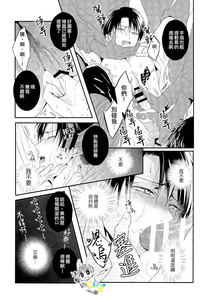 第29頁圖
