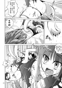 第17页图