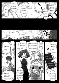 第33页图