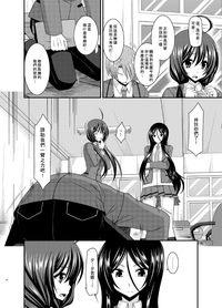 第17页图