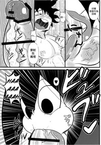 第13頁圖