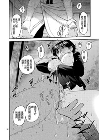 第29頁圖