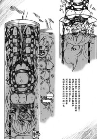第13頁圖