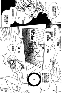 第13頁圖
