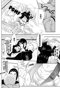 第33页图