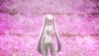 第37頁圖