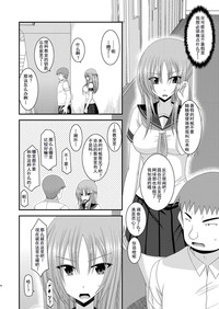 第33页图
