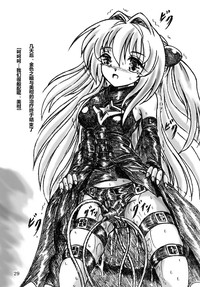 第29頁圖