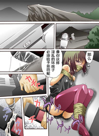 第17页图