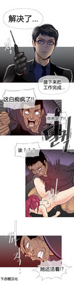 第213頁圖