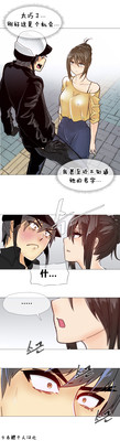第241頁圖