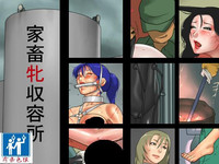 第1页图