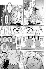 第17页图