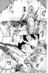 第29頁圖