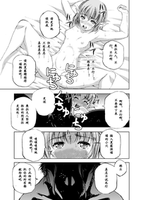 第281頁圖