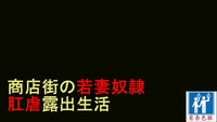 第1页图