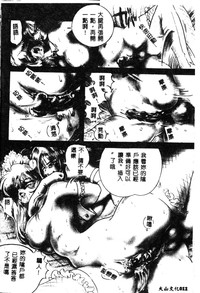 第13頁圖