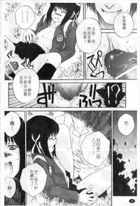 第57頁圖