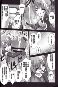第17页图