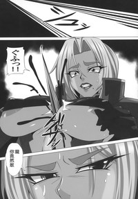 第33页图