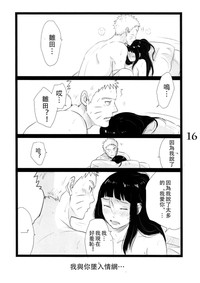 第17页图