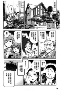 第185頁圖