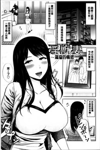 第197頁圖