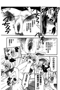第197頁圖