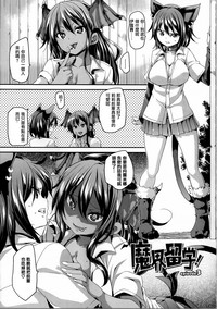 第49頁圖