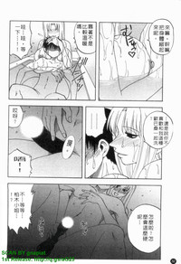 第33頁圖