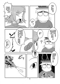 第25頁圖