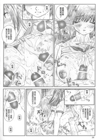 第25页图
