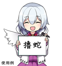 第45页图