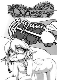 第17页图