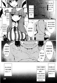 第33頁圖