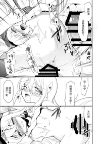 第17页图