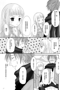 第17页图