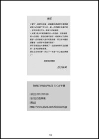 第17頁圖